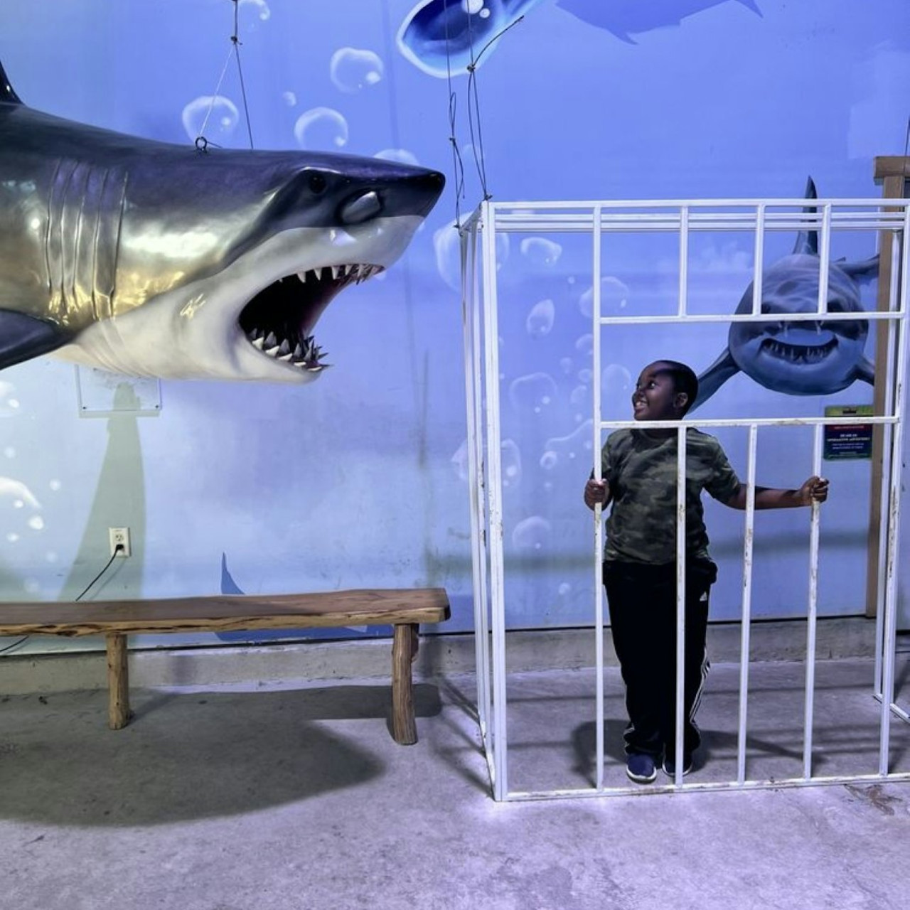 Houston Interactive Aquarium & Animal Preserve Ticket – photo 6