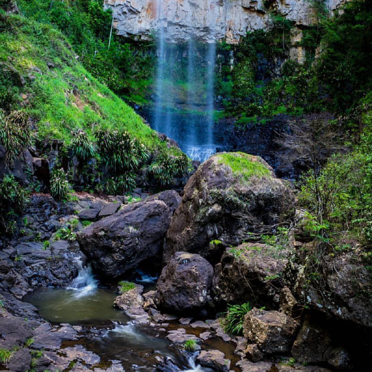 Springbrook National Park Night Tour – photo 2