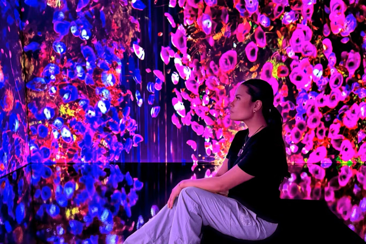 iMUSEUM 입장권 (뉴저지)