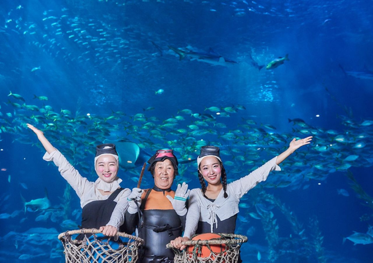 Aqua Planet Jeju Aquarium Ticket – photo 8