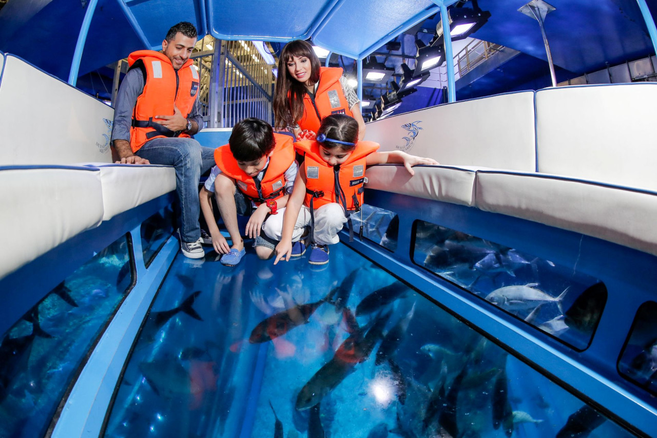 Go City Dubai Highlights Pass: Save up to 50% on Attractions – photo 9