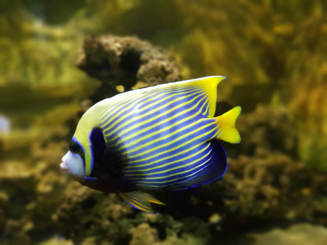 Yehliu Ocean World – photo 7