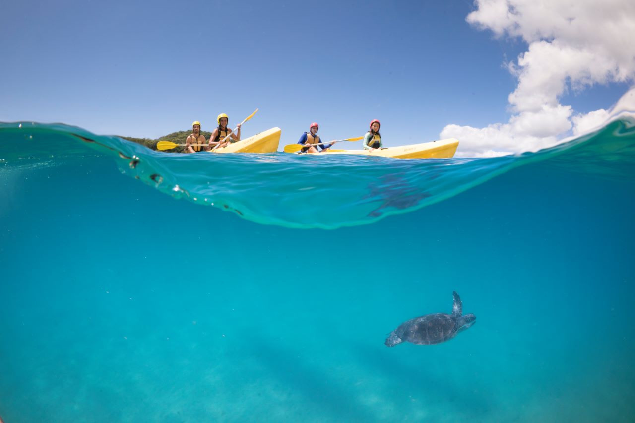 Byron Bay Kayaking Experience with Dolphins – photo 2