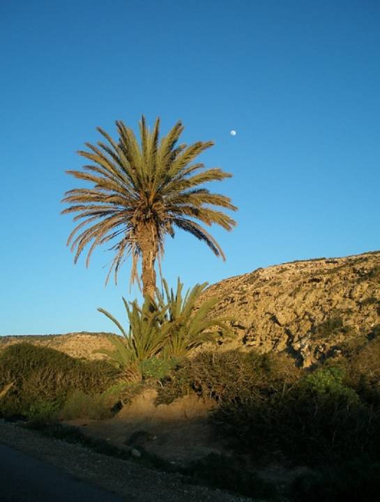 Quad Ride in Marrakech with Round Trip Transfers – photo 3