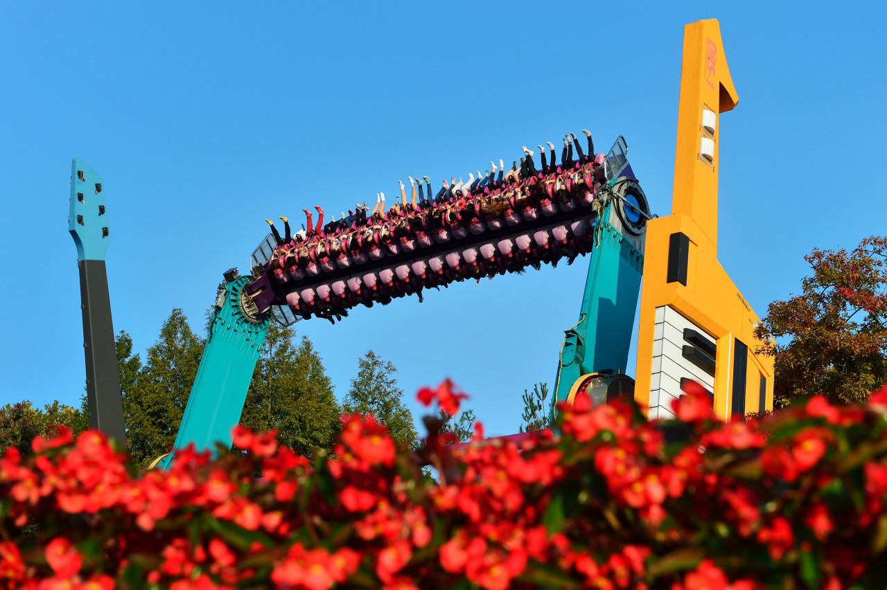 Everland Theme Park Ticket – photo 8