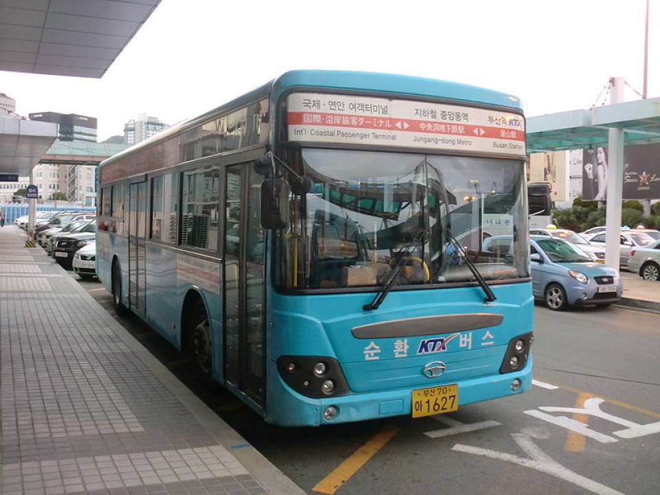 Nami Island Shuttle Bus Transfers from Seoul – photo 6