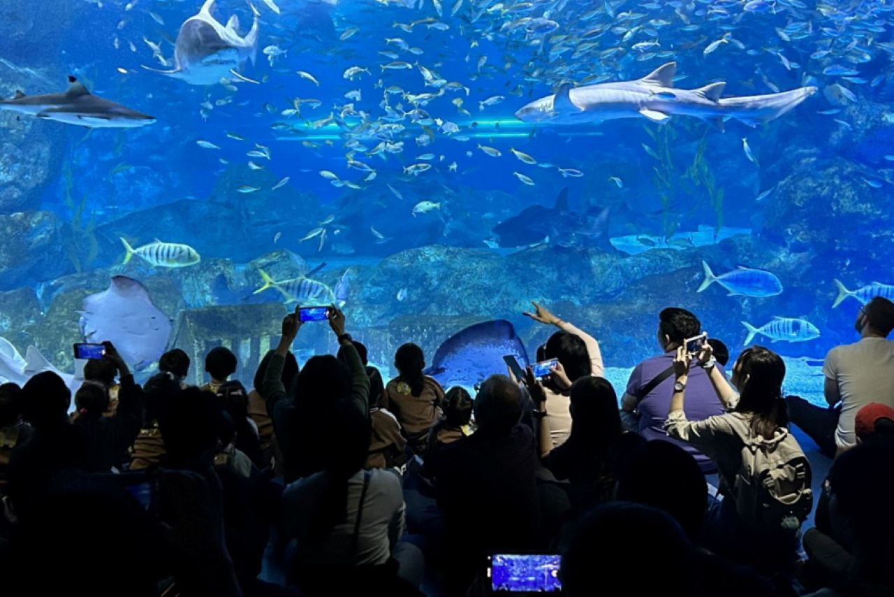 SEA LIFE COEX, Seoul Aquarium Ticket – photo 4