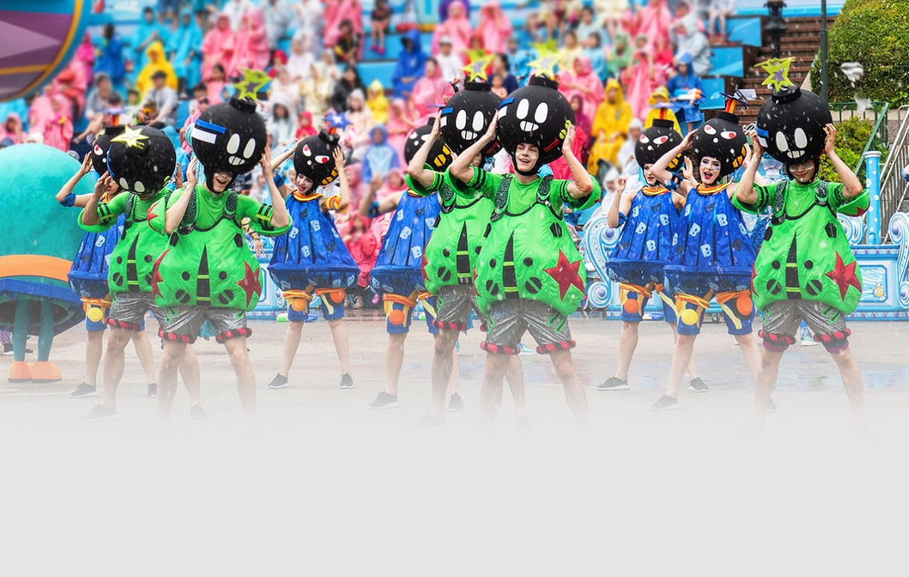 Everland Theme Park Ticket – photo 5