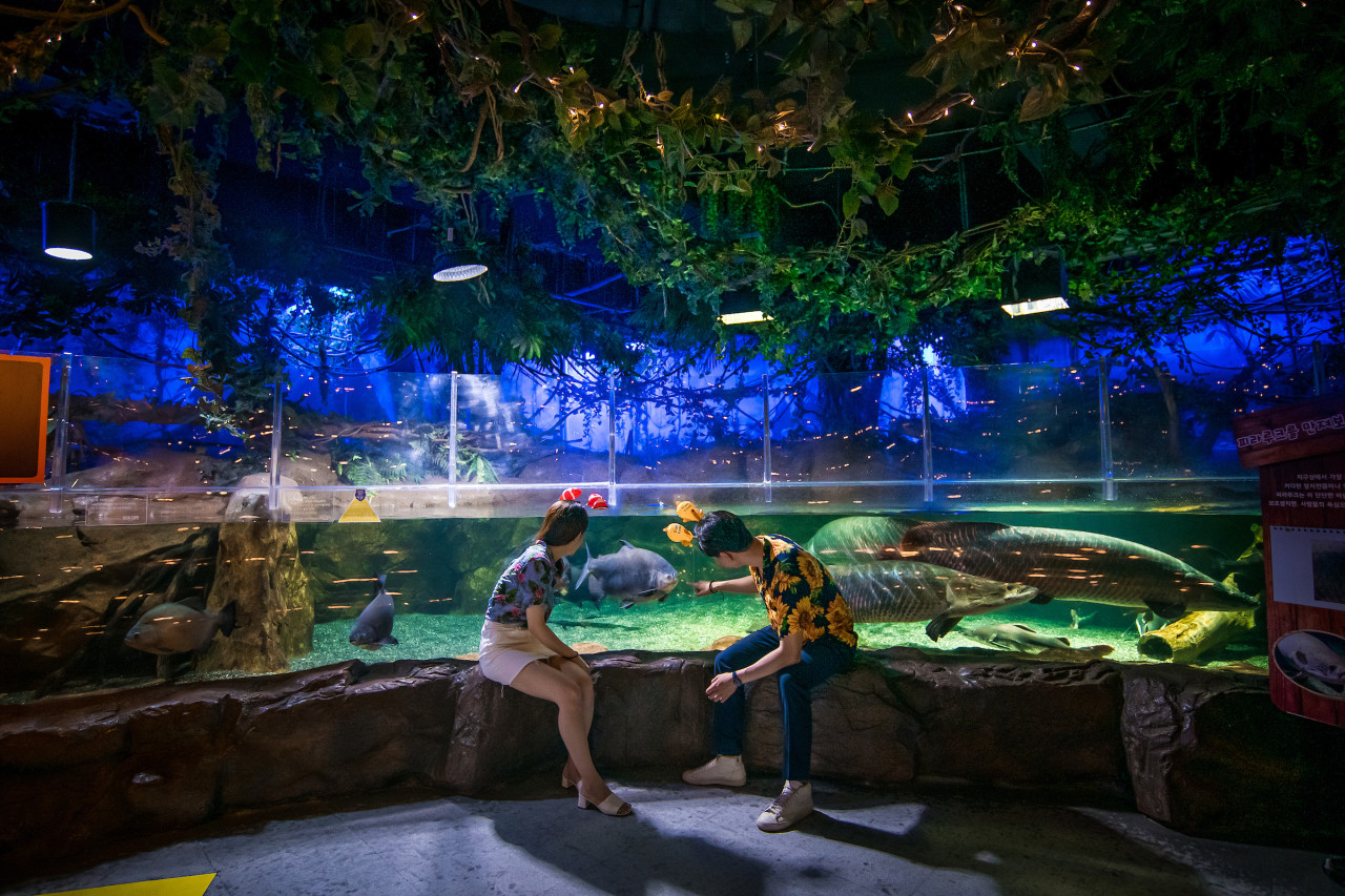 SEA LIFE Busan Aquarium Ticket – photo 4