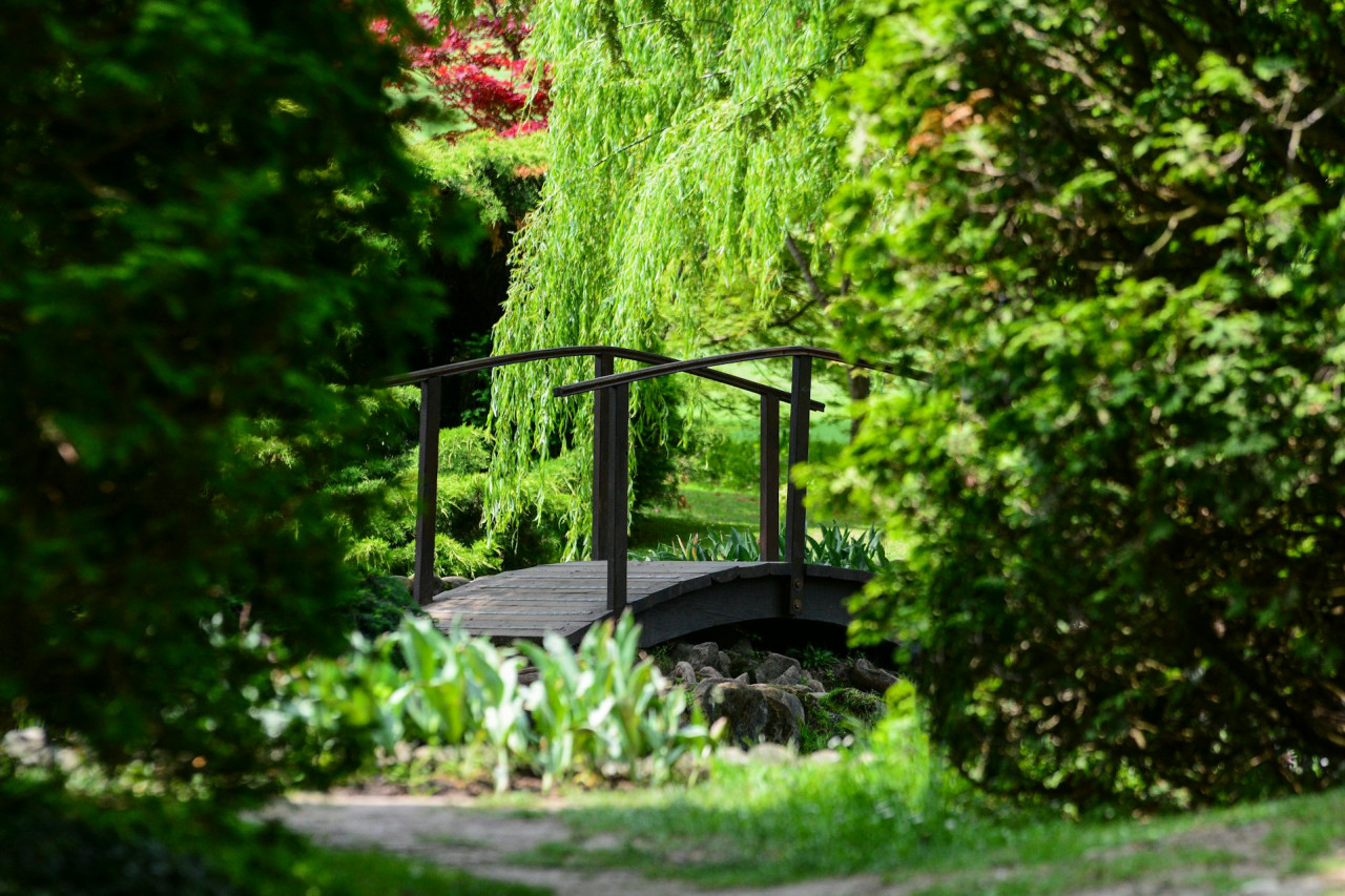 Parco Giardino Sigurtà Ticket – photo 6