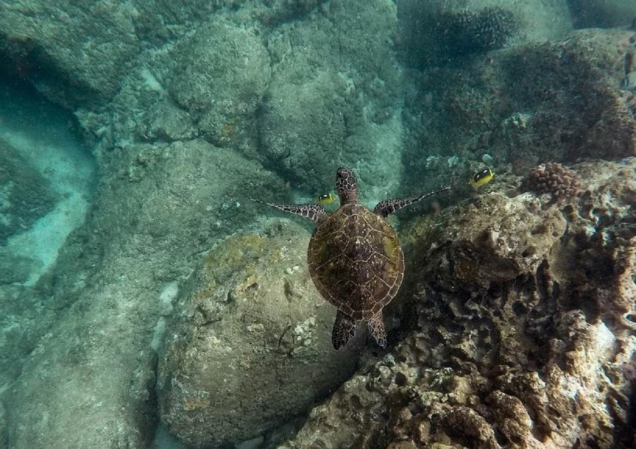 Kenting Houbihu Semi-Submarine Experience – photo 9