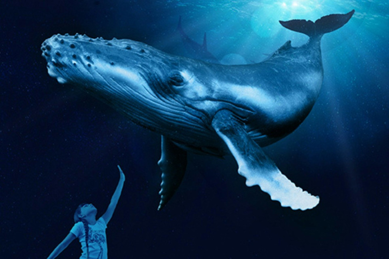 Palma Aquarium: Skip The Line Ticket + Optional 3D Cinema Aquadome – photo 3