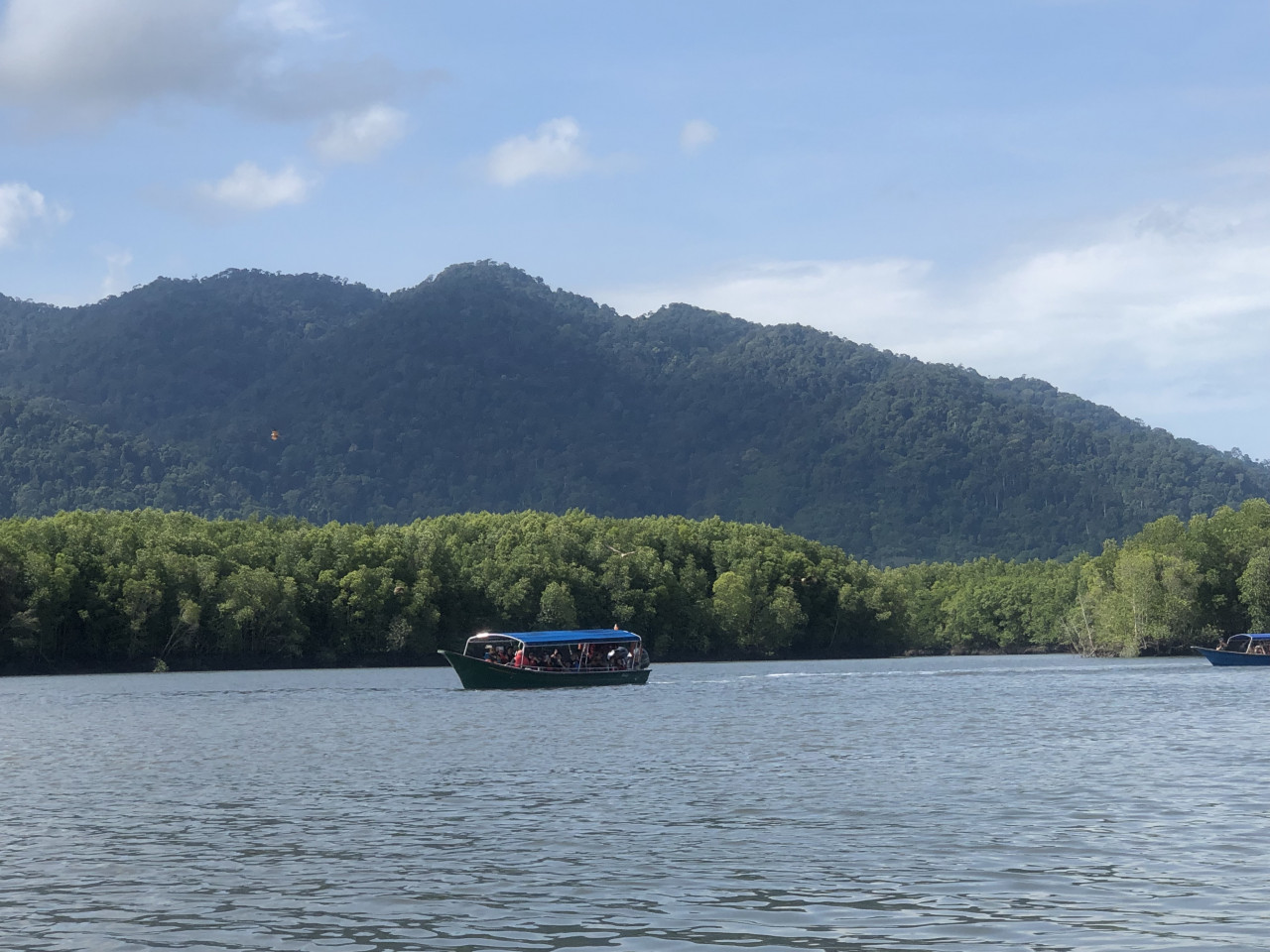 랑카위 유네스코 지질공원 맹그로브 보트 투어  