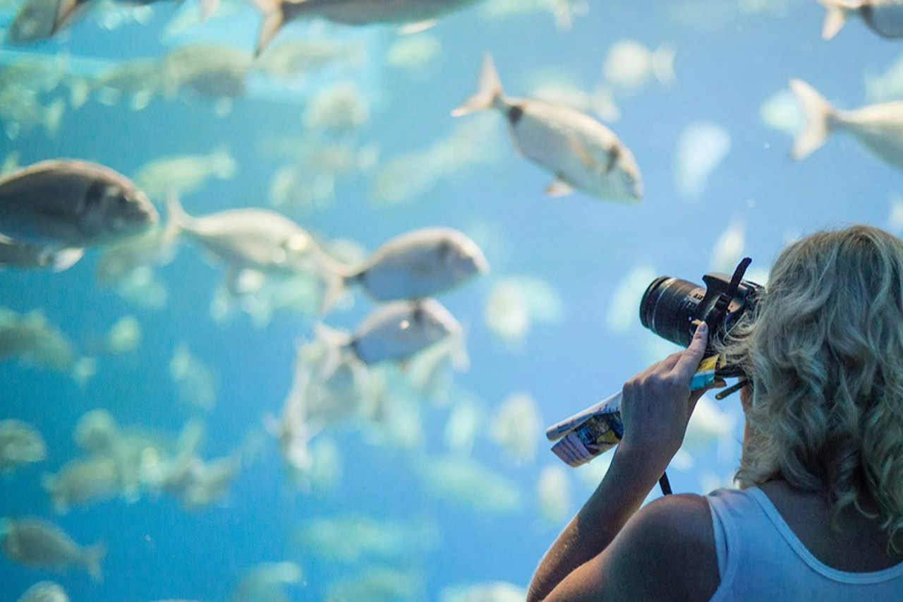 Palma Aquarium: Skip The Line Ticket + Optional 3D Cinema Aquadome – photo 8