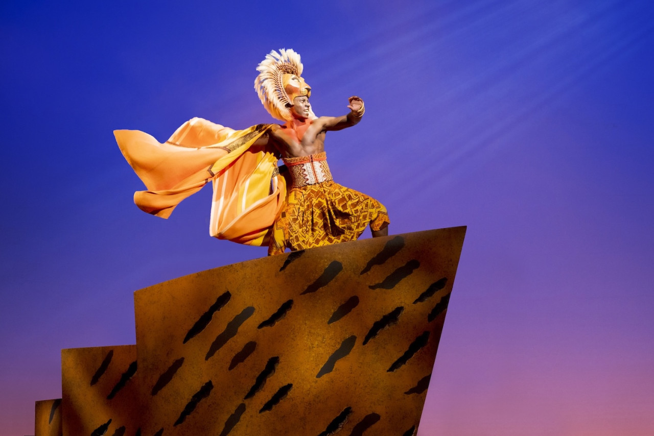 The Lion King Broadway Musical Ticket in New York – photo 7