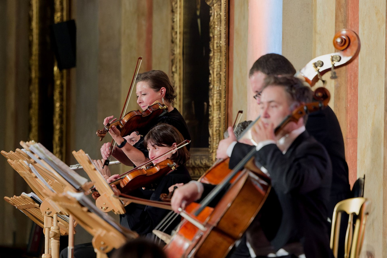 Vienna Residence Orchestra at Borse Palace Ticket – photo 5