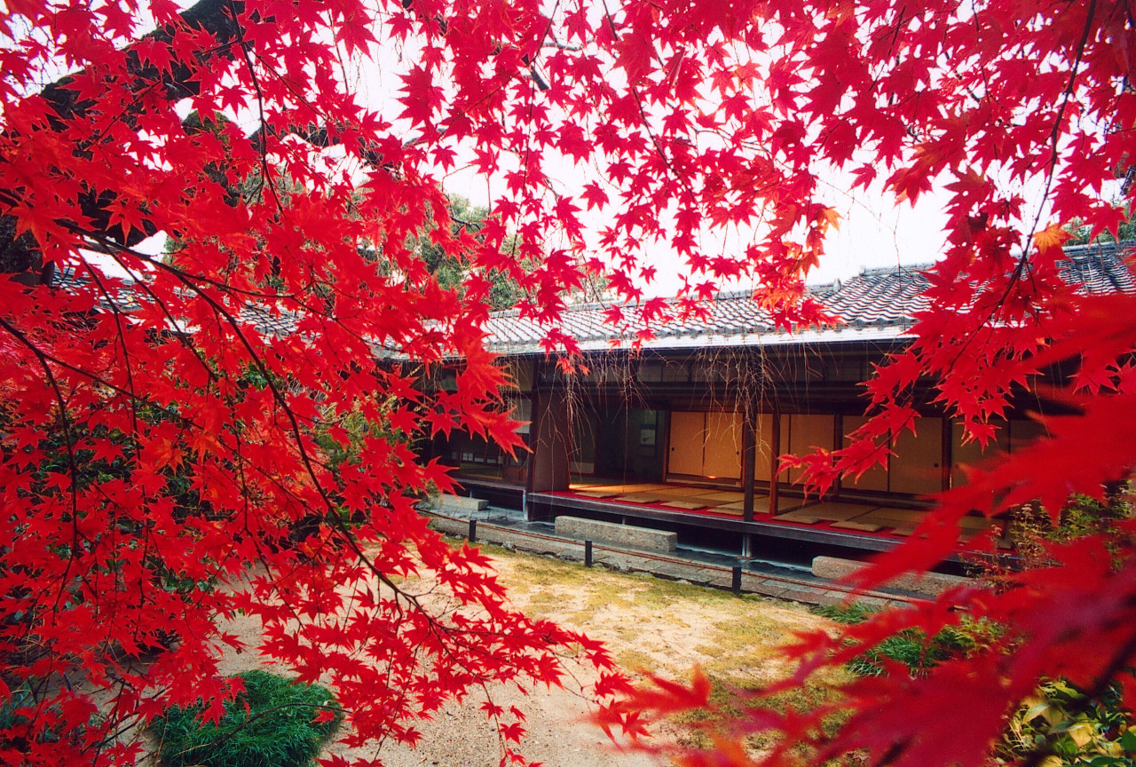 Myoshinji Temple Self-Guided Tour with Lunch – photo 3