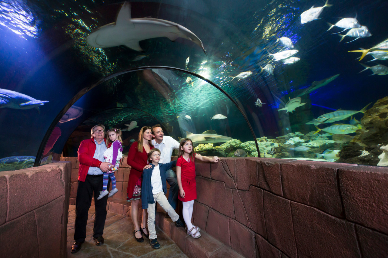  씨라이프  하노버 아쿠아리움 티켓