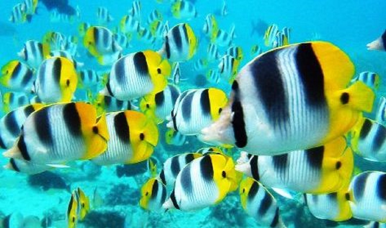 Underwater World Pattaya – photo 5