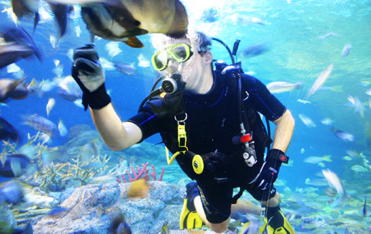 Underwater World Pattaya – photo 4