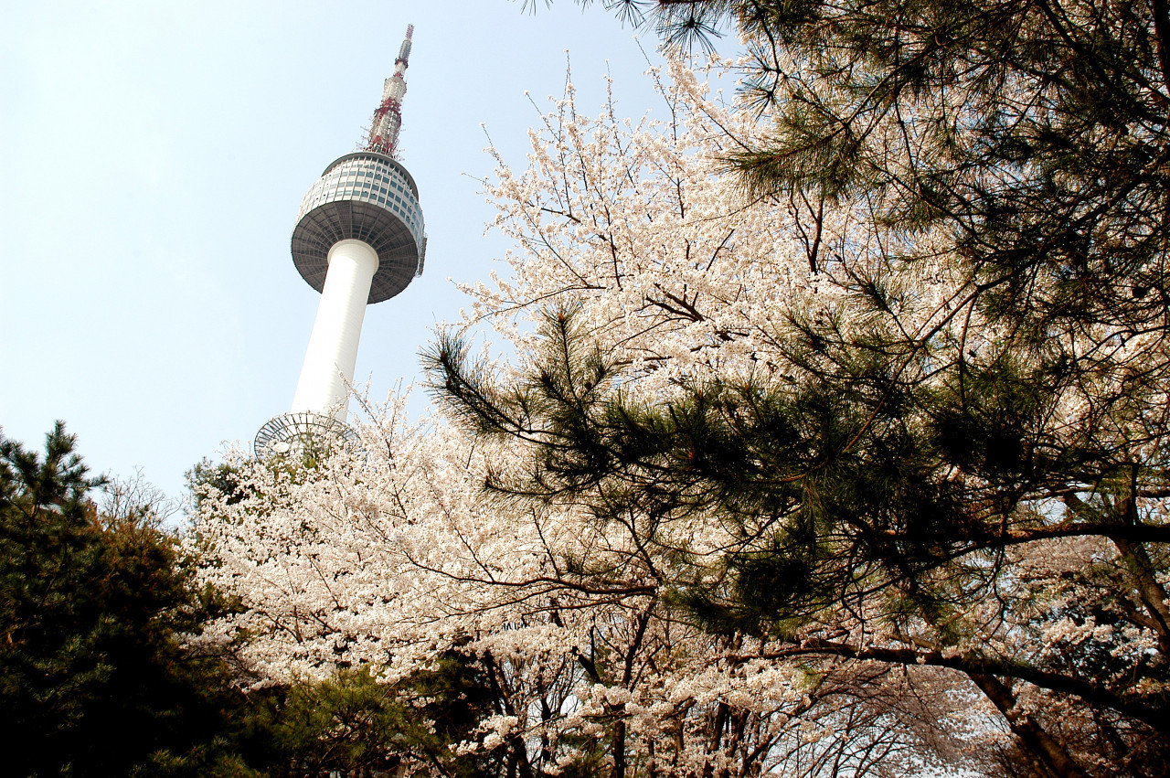 COMBO: AREX Incheon Airport Express Train + SIM Card + N Seoul Tower – photo 9