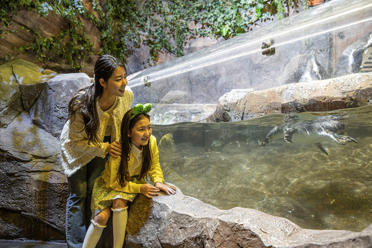 Zoolung Zoolung Indoor Animal Theme Park Ticket – photo 4
