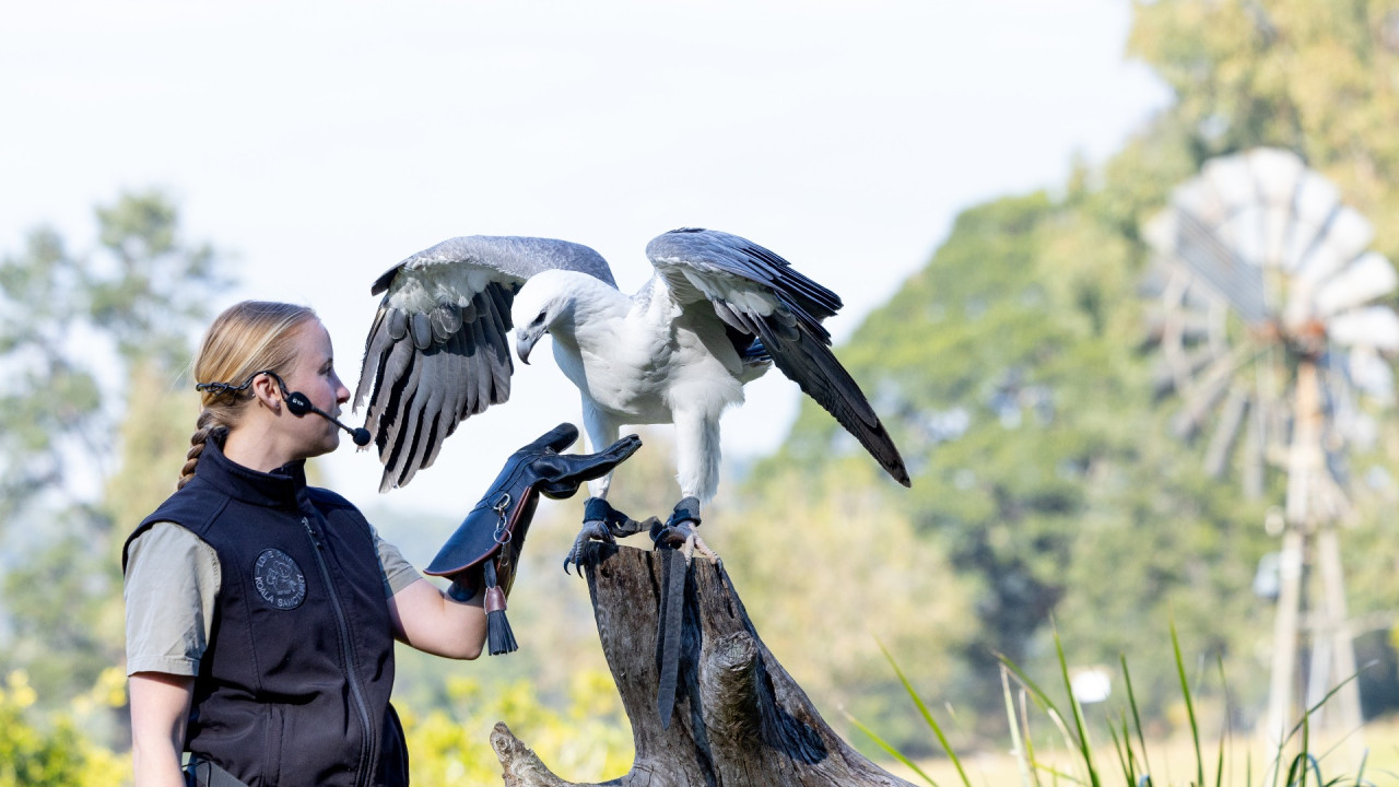 Lone Pine Koala Sanctuary Entry Ticket with Cruise – photo 4