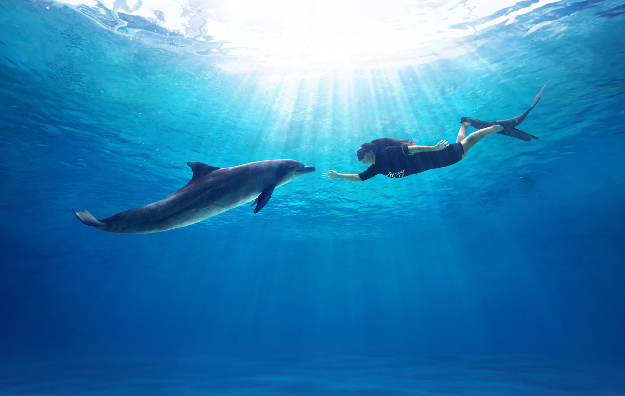  싱가포르 마린 매멀 해비타트 (해양 포유류 서식지, 구 :돌핀 아일랜드) at 리조트 월드 센토사