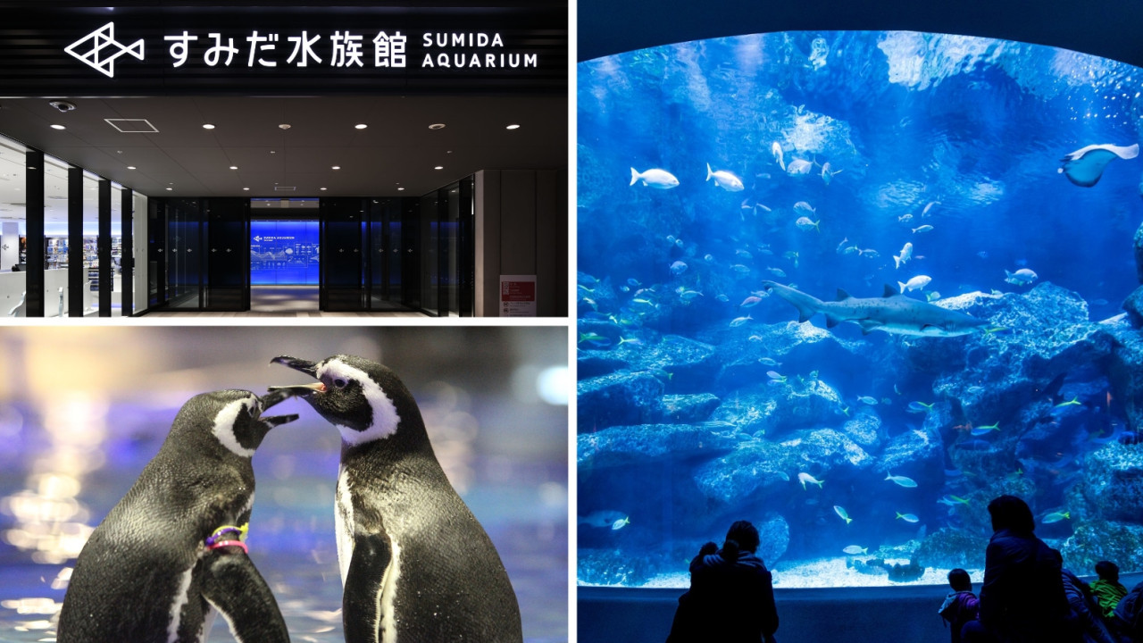 Have Fun in Japan Pass - 2 Weeks Free Pass – photo 7