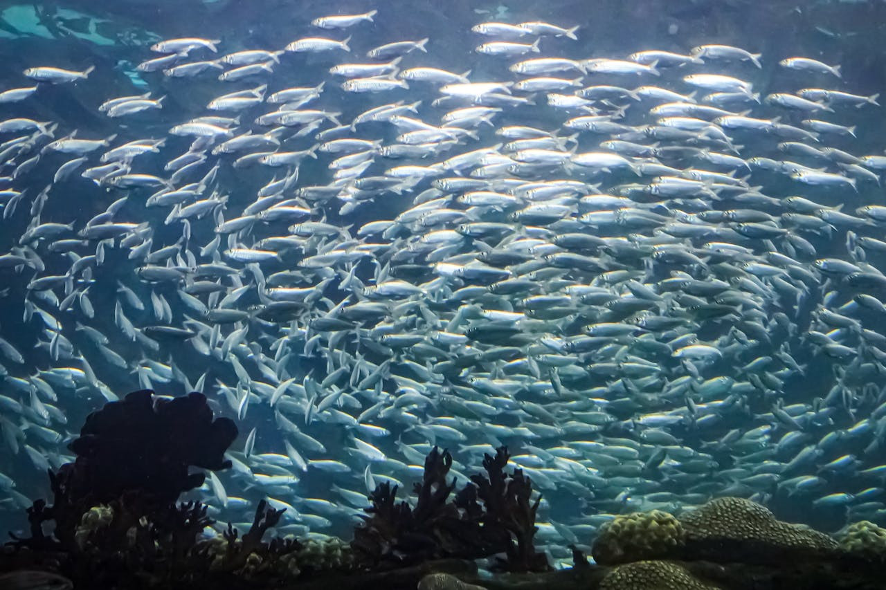 The Florida Aquarium Ticket – photo 6