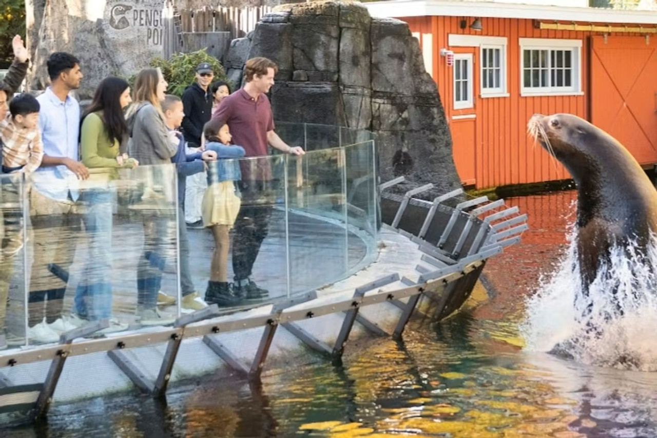 Vancouver Aquarium Ticket – photo 3