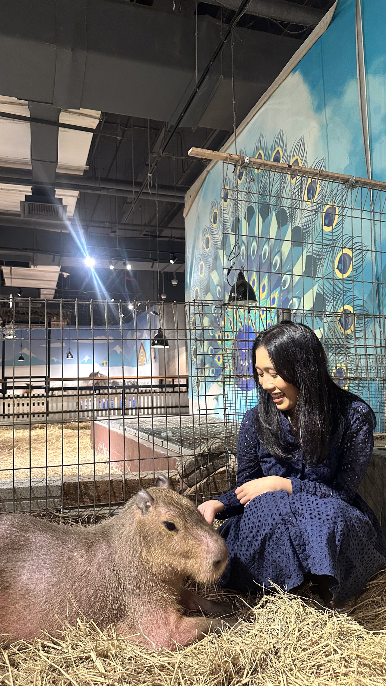 Just Farm at Just Pets Megastore – photo 3