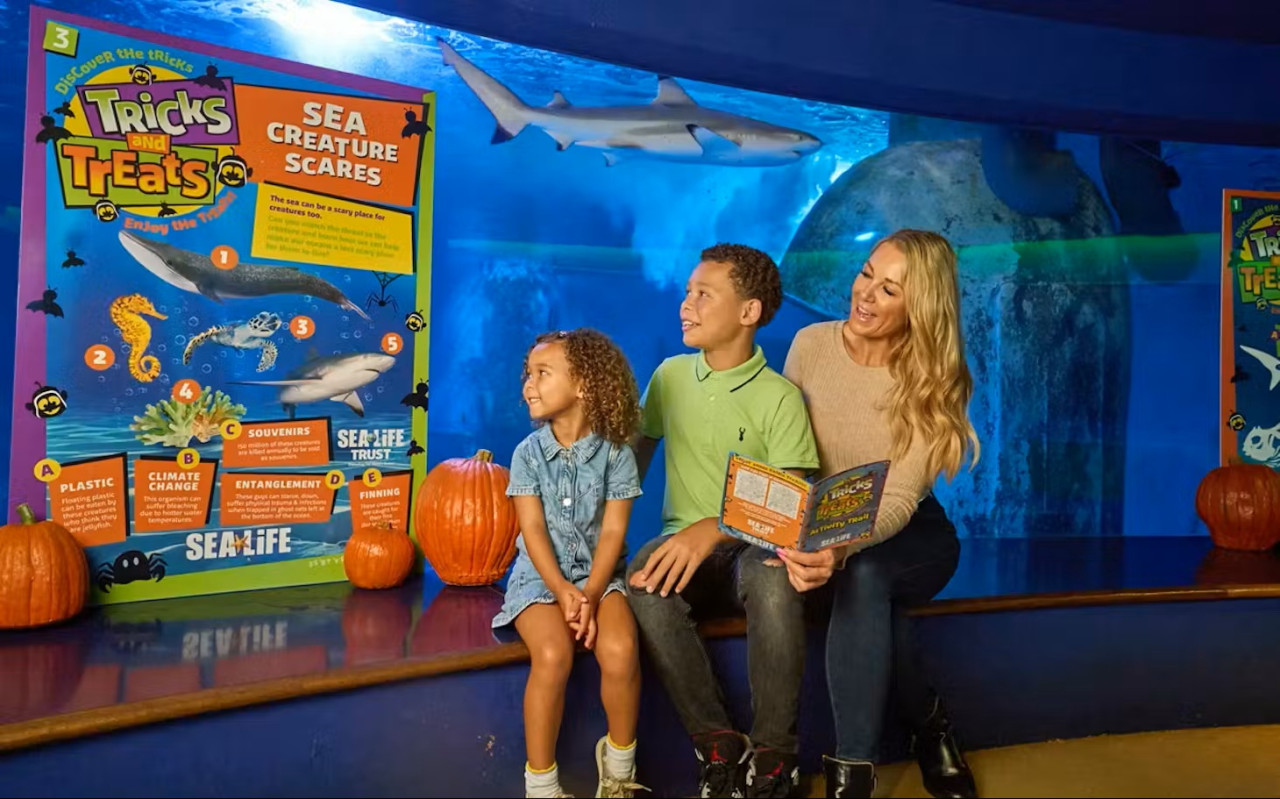 SEA LIFE New Jersey Aquarium Ticket – photo 2