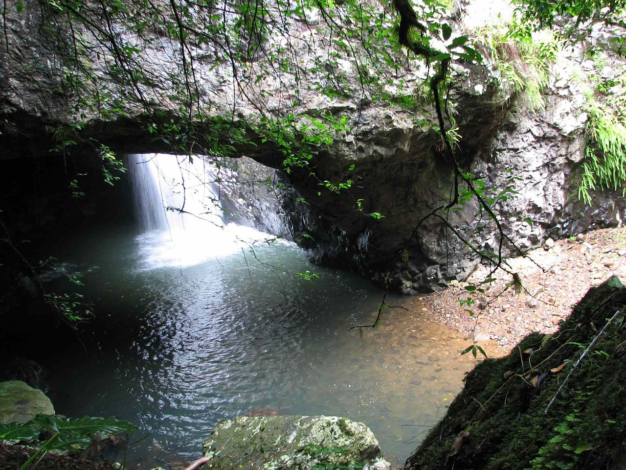 Springbrook National Park Night Tour – photo 6