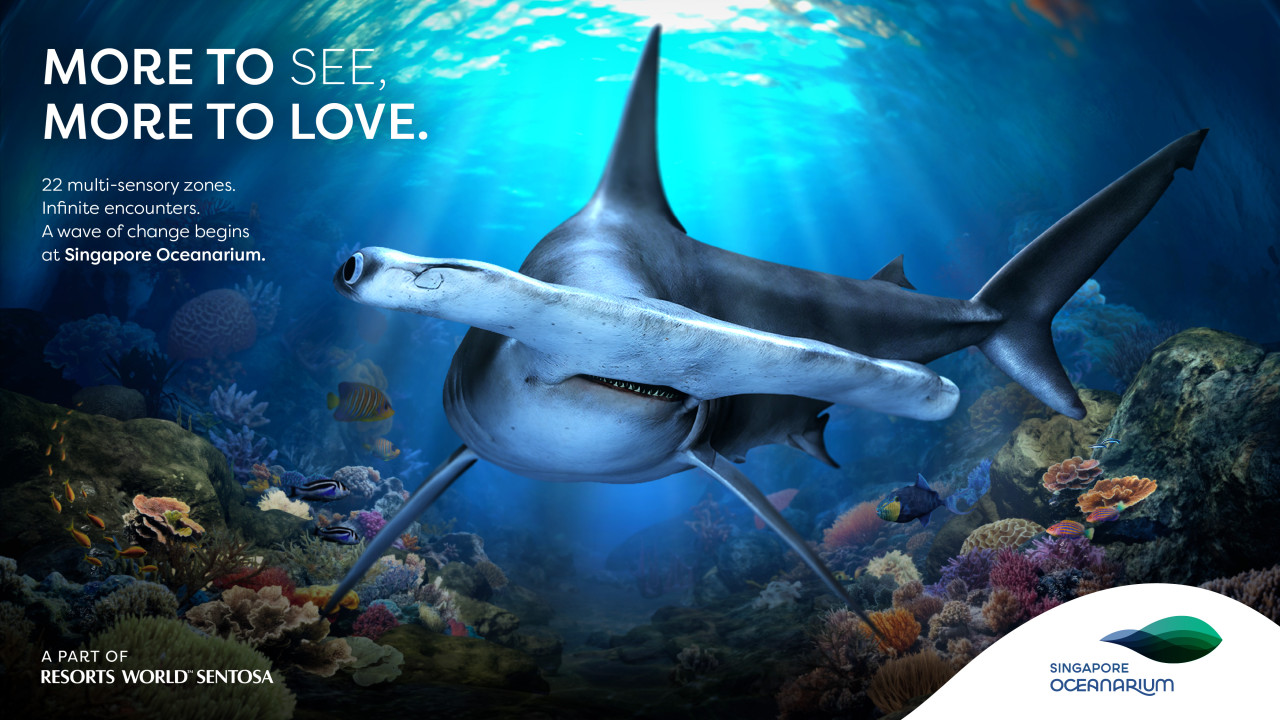 COMBO: Singapore Cable Car + Singapore Oceanarium + Albatross Hop-On Hop-Off Speedboat Tickets – photo 5