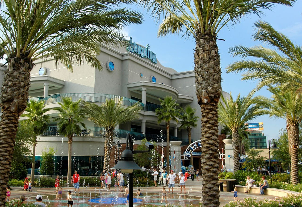 Downtown Aquarium Houston Ticket – photo 2