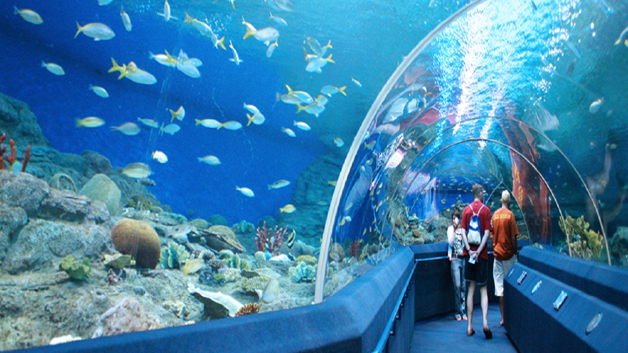 Underwater World Pattaya – photo 3