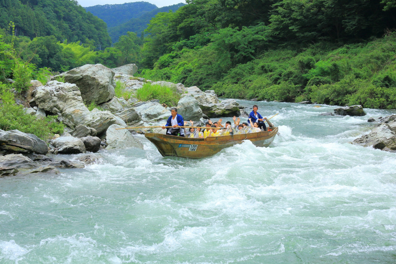 Seibu 1 Day Pass + Nagatoro – photo 3