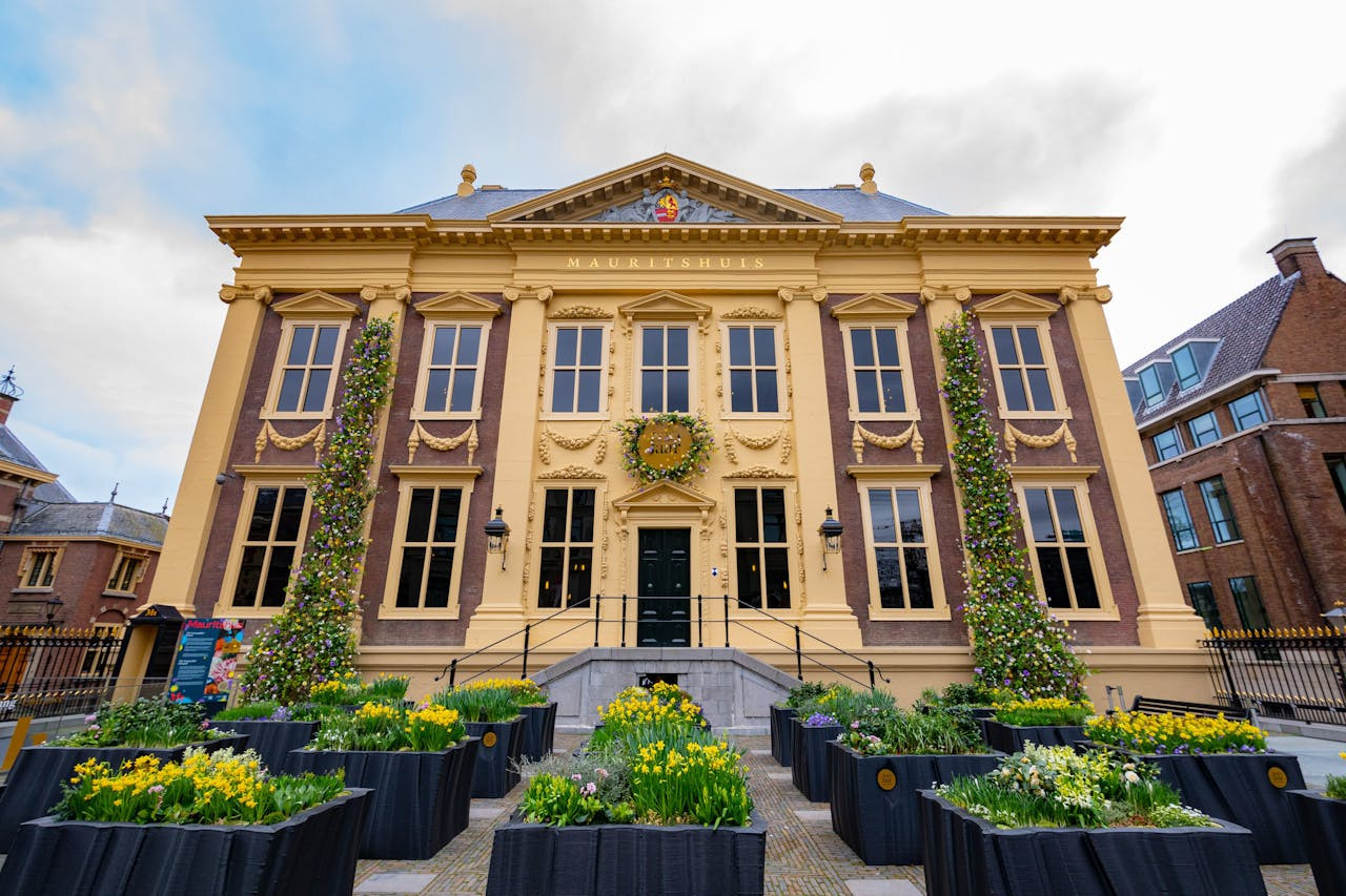 The Mauritshuis Museum Ticket – photo 6