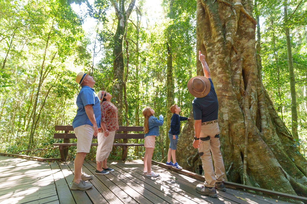 Lamington National Park Tour: O\'Reilly\'s Rainforest Retreat and Canungra Valley Vineyard