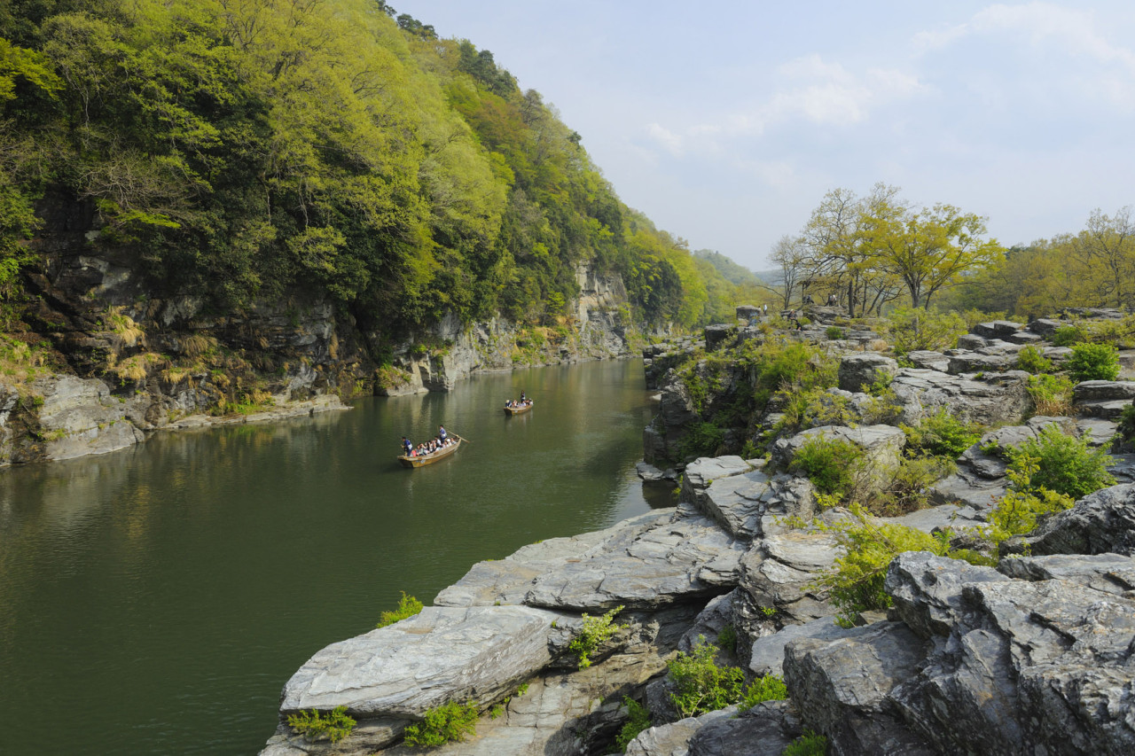 Seibu 1 Day Pass + Nagatoro – photo 2
