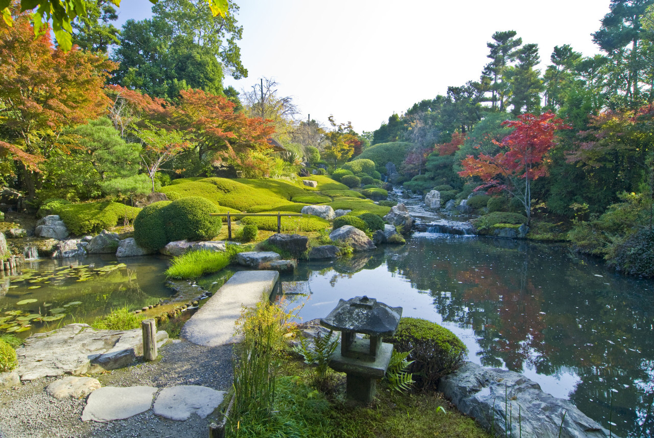 Myoshinji Temple Self-Guided Tour with Lunch – photo 8
