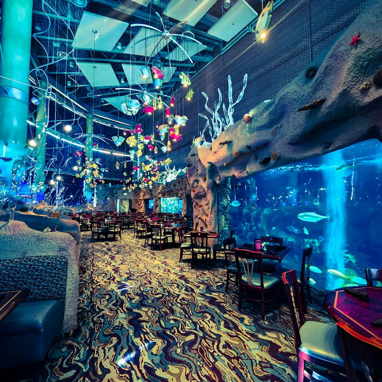Downtown Aquarium Denver Ticket – photo 7