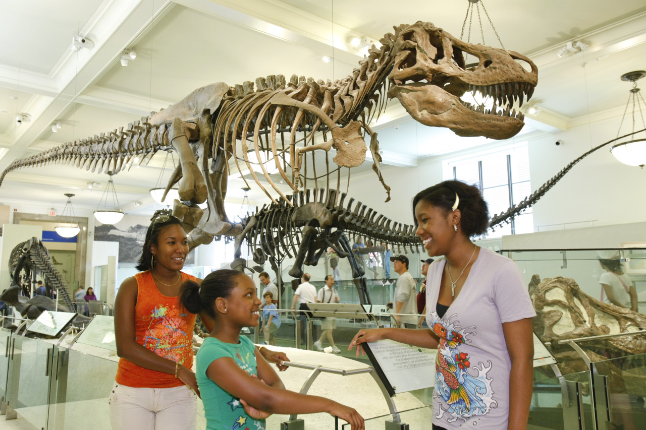 Go City New York Essential Pass: Save up to 50% on Attractions – photo 6