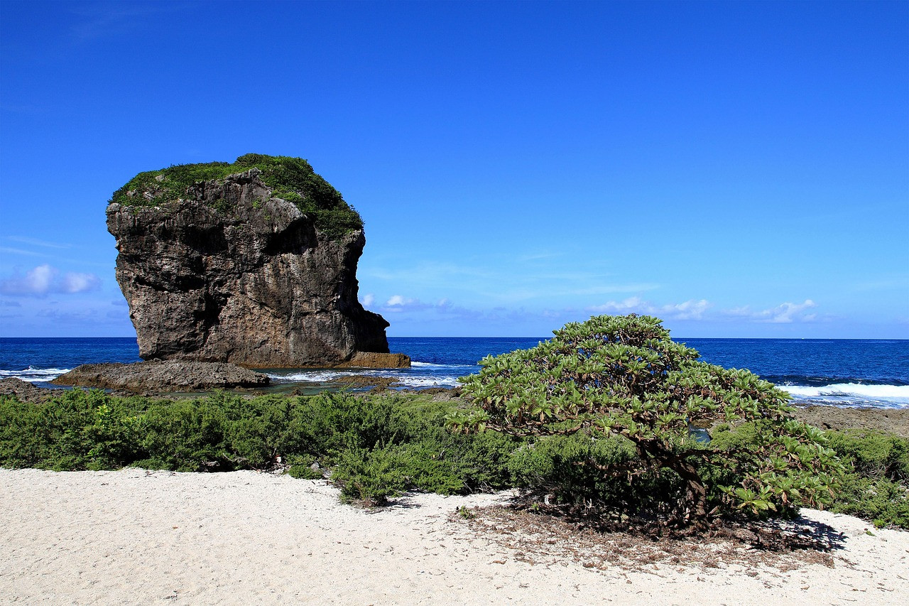 Kenting Express Bus Transfers from Kaohsiung to Kenting – photo 2