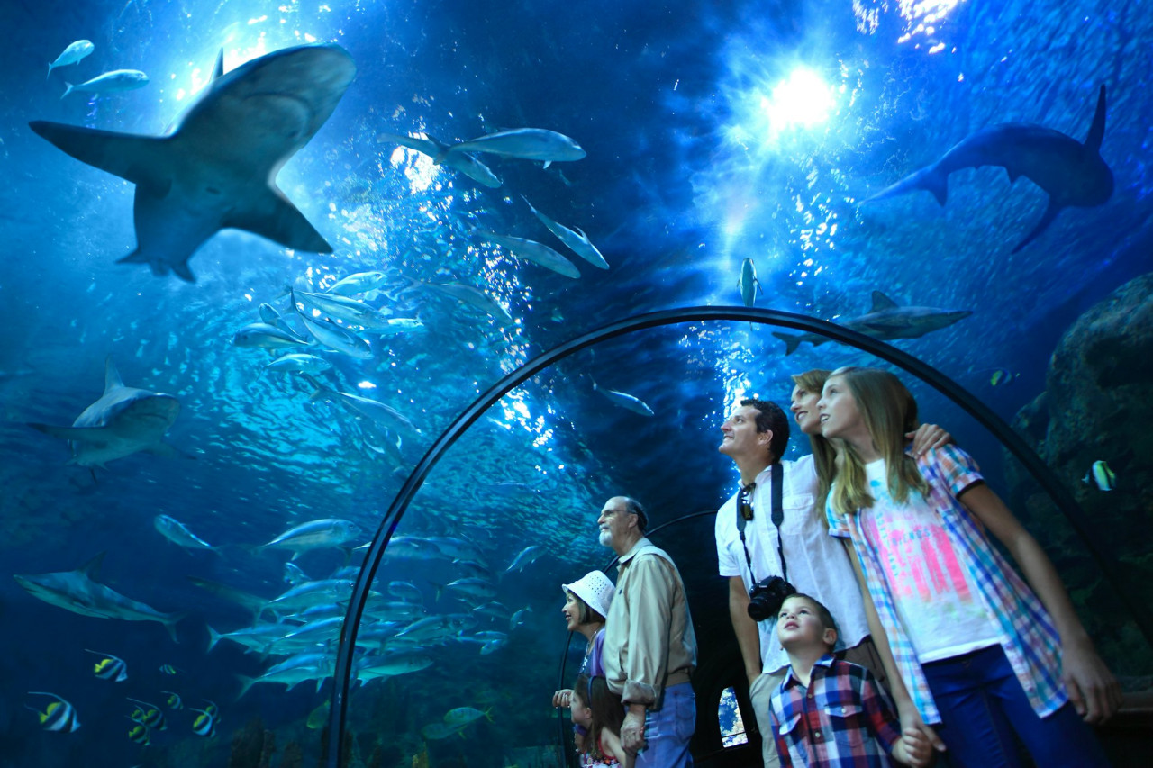 Loro Parque Ticket – photo 4