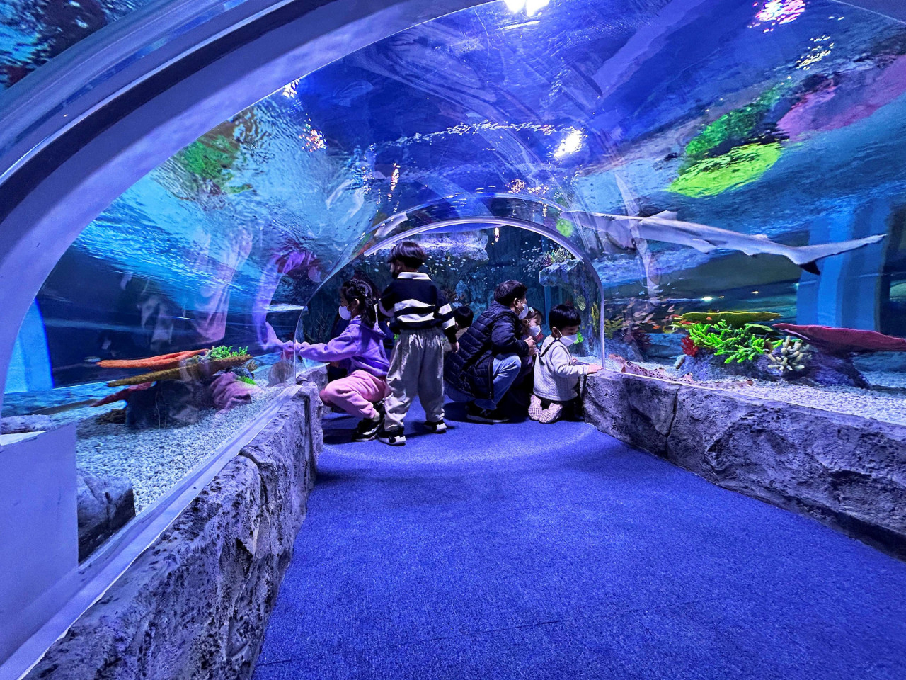 SEA LIFE Busan Aquarium Ticket – photo 3