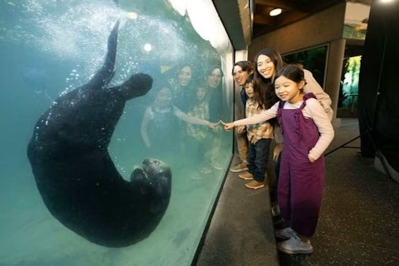 Vancouver Aquarium Ticket – photo 9