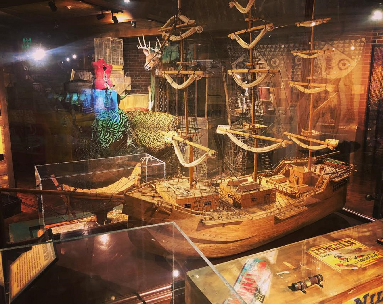 Ripley's Believe It or Not! Gold Coast – photo 6