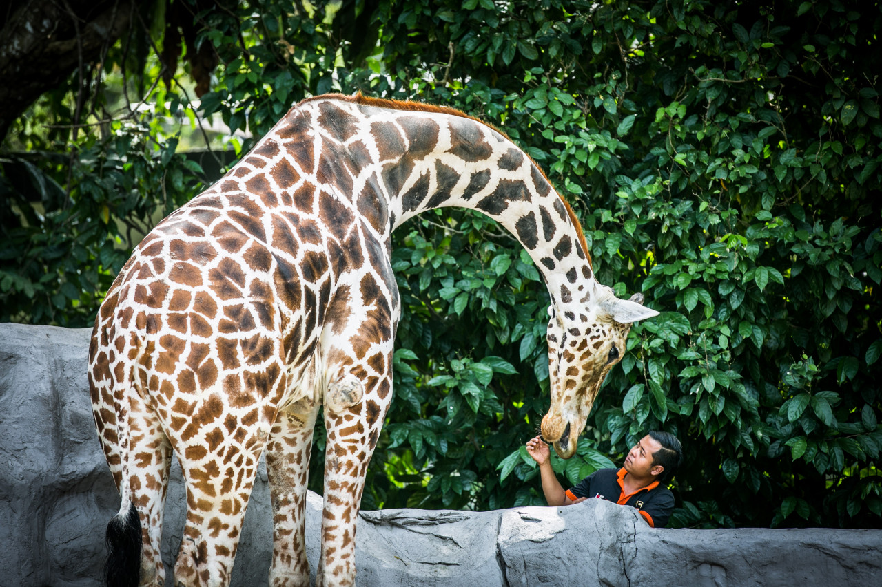  네가라 동물원 말레이시아
